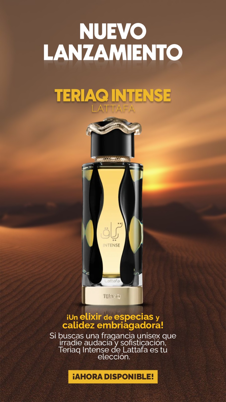 Nuevo lanzamiento 12